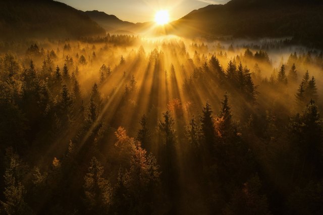 Sunlight coming over mountains and a forest of trees