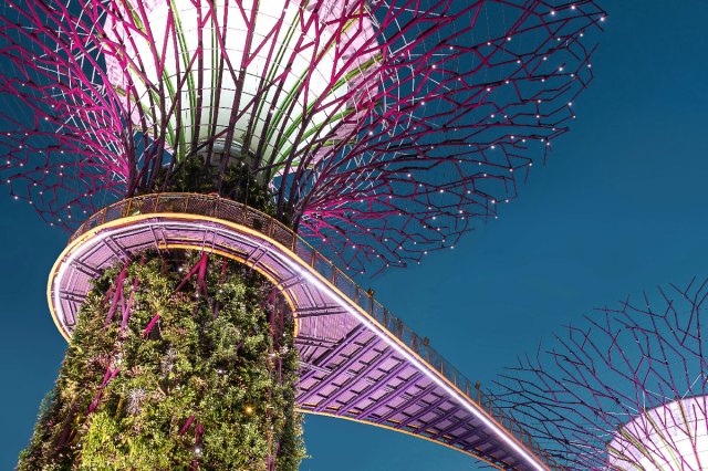 Close up view of Gardens by the Bay in Singapore
