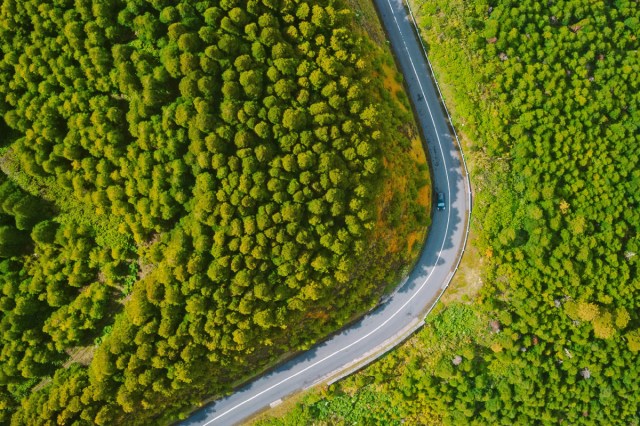 A birds eye view of a road winding through a green forest