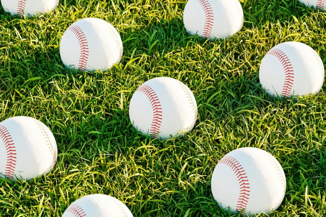 A baseball in a field of grass