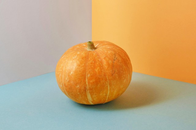 A pumpkin on a color background