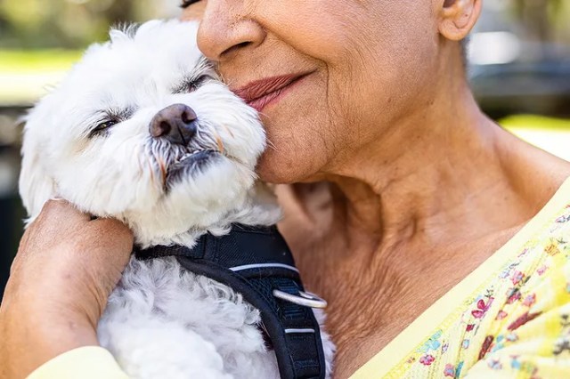 Woman holding white dog