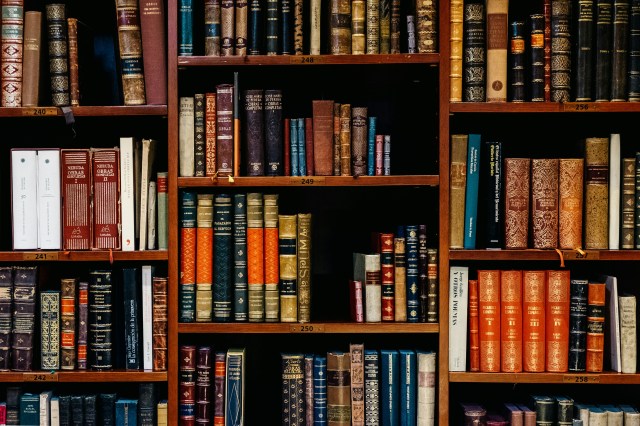 Books on a bookshelf