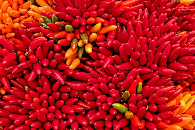 Yellow and red chili peppers 