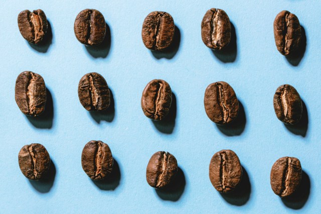 Coffee beans on a blue background